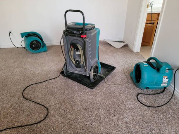 Best 24-hour water damage restoration  in Lake Wildwood, CA