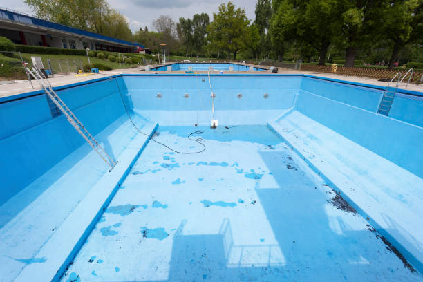 Best Mold removal after water damage  in Lake Wildwood, CA