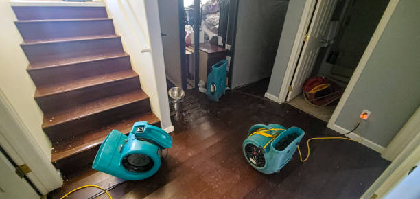 Best Emergency water damage restoration  in Lake Wildwood, CA