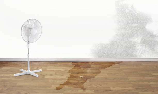 Best Fire Damage Restoration  in Lake Wildwood, CA