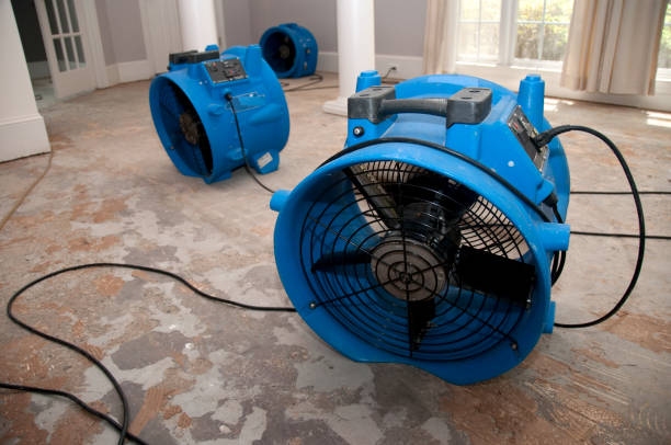 Best Residential water damage restoration  in Lake Wildwood, CA