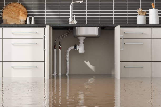 Best Flooded house restoration  in Lake Wildwood, CA